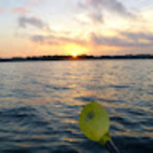 Meet your Posher, Drew